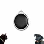 Localizador GPS para Perros y Gatos