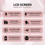 Grabadora Espía Reproductor Características