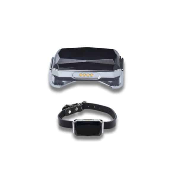 Localizador GPS Mascotas