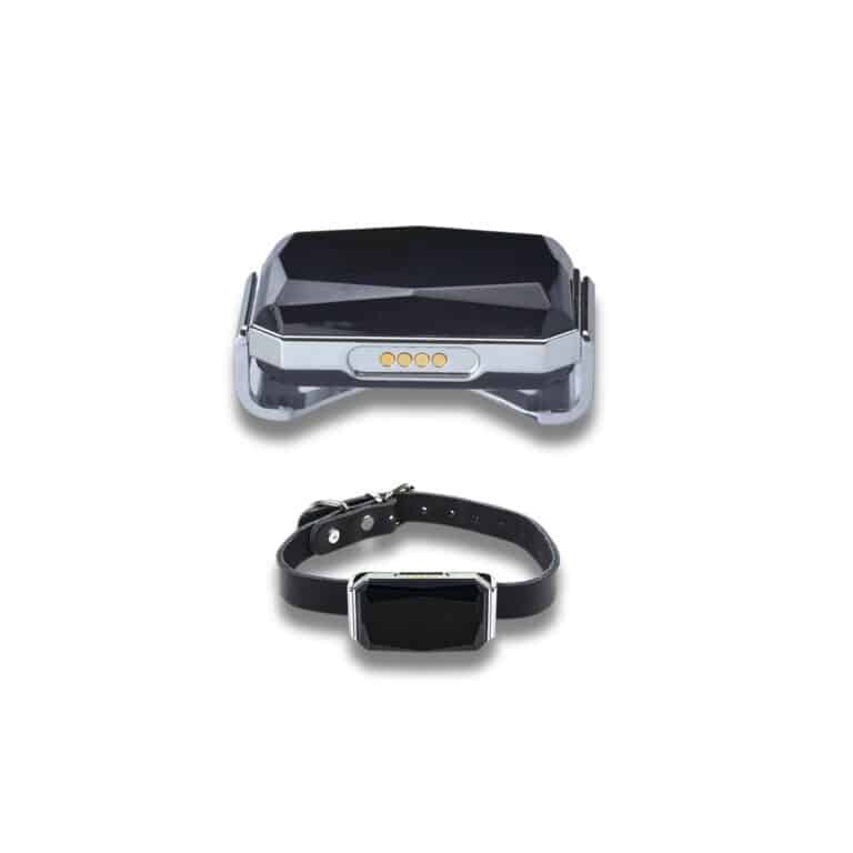 Localizador GPS Mascotas