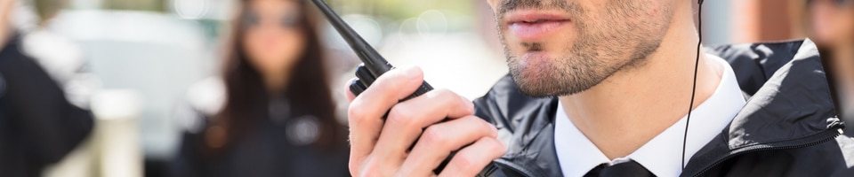 Pinganillo Seguridad