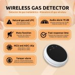 Detector de Gas Alarma CARACTERÍSTICAS